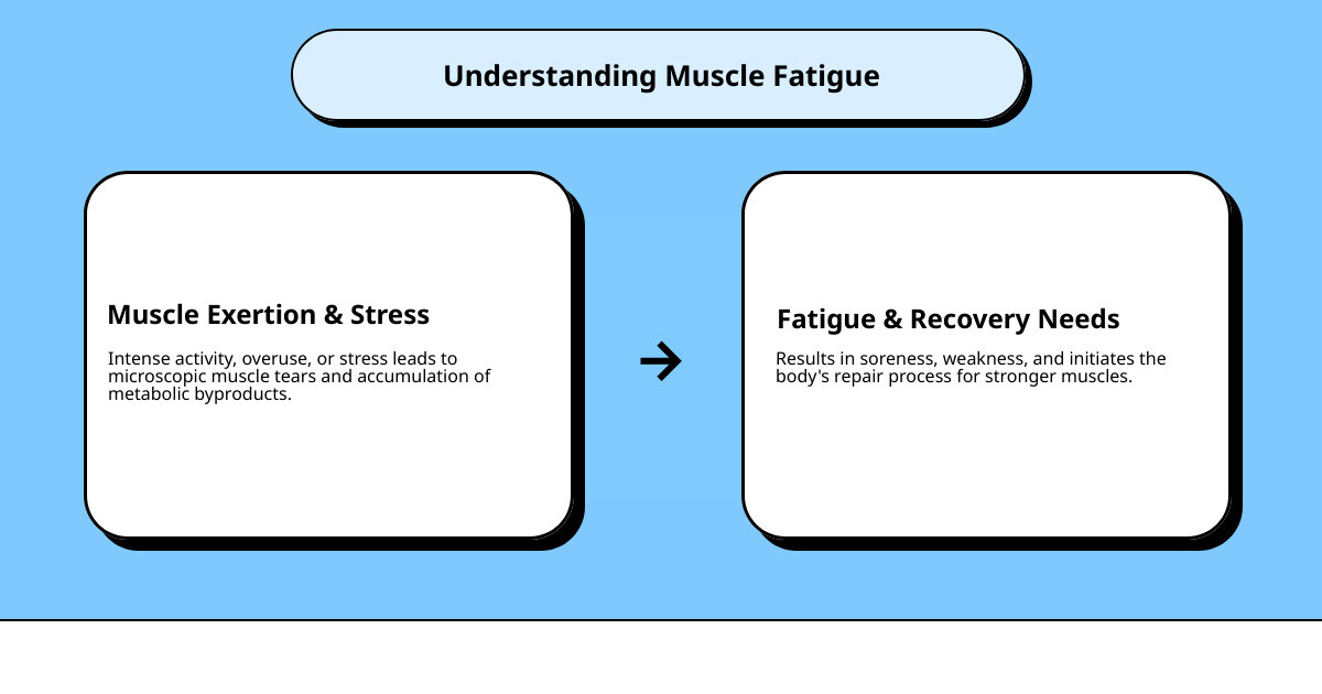 Infographic showing the cycle of muscle exertion leading to microscopic tears, inflammatory response, repair process, and recovery with proper rest, nutrition, hydration, and topical treatments resulting in stronger muscles - What helps tired muscles? infographic cause_effect_text