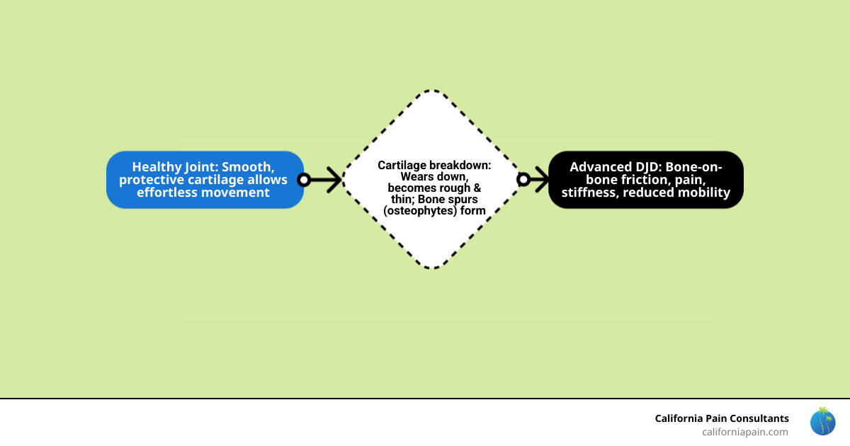 Detailed infographic showing the progression of degenerative joint disease from healthy cartilage through early wear to advanced bone-on-bone contact with bone spur formation and joint space narrowing - Degenerative joint disease infographic flowmap_simple Detailed infographic showing the progression of degenerative joint disease from healthy cartilage through early wear to advanced bone-on-bone contact with bone spur formation and joint space narrowing - Degenerative joint disease infographic flowmap_simple