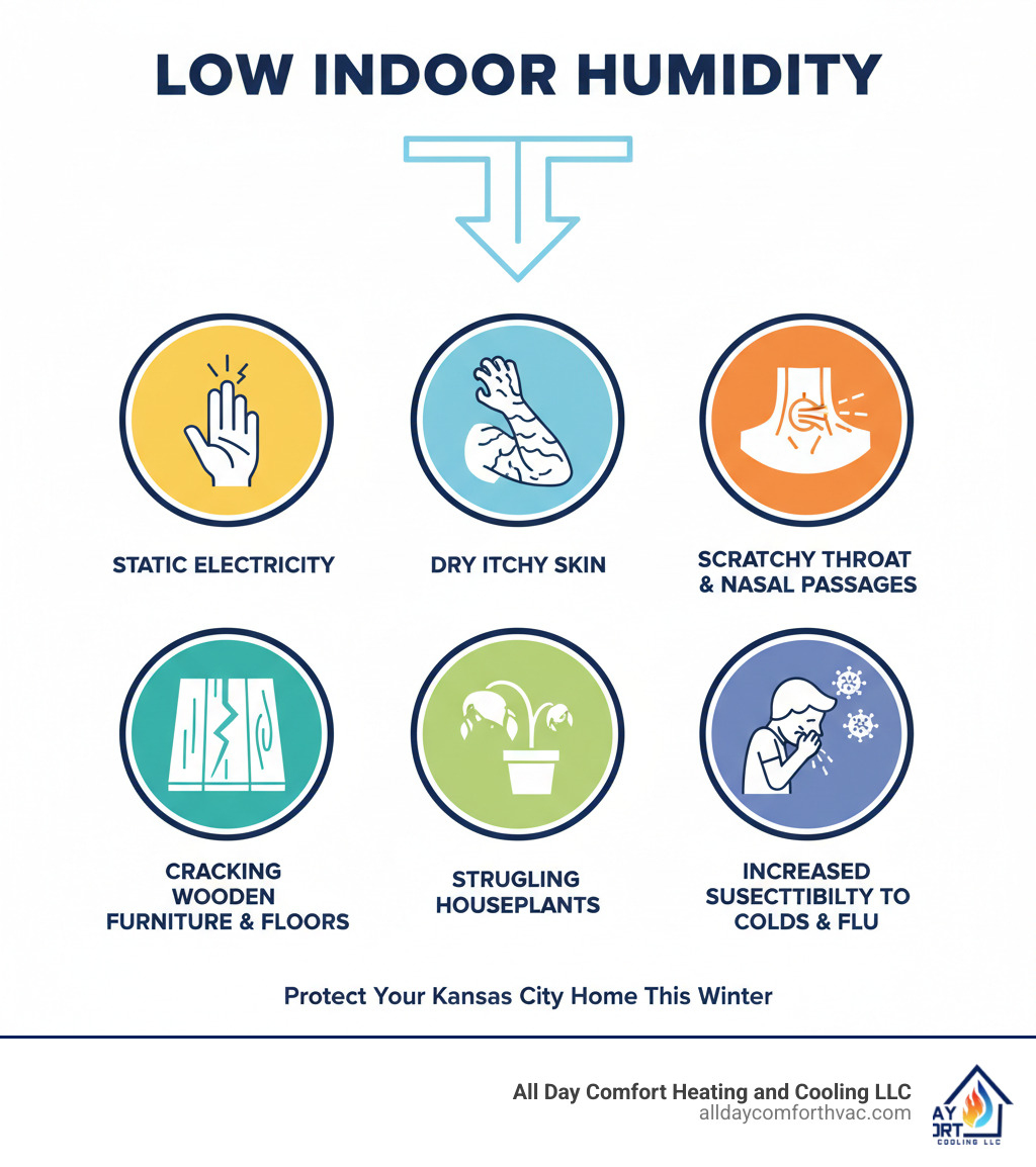 Infographic showing common signs of low indoor humidity including static electricity buildup, dry itchy skin, scratchy throat and dry nasal passages, cracking wooden furniture and floors, struggling houseplants, and increased susceptibility to cold and flu viruses - humidifier installation kansas city mo infographic  Infographic showing common signs of low indoor humidity including static electricity buildup, dry itchy skin, scratchy throat and dry nasal passages, cracking wooden furniture and floors, struggling houseplants, and increased susceptibility to cold and flu viruses - humidifier installation kansas city mo infographic