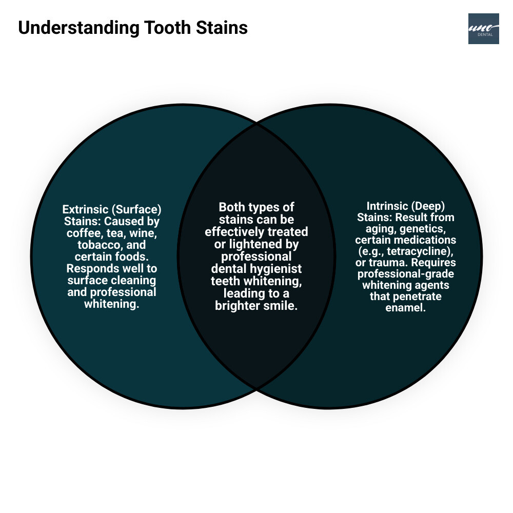 Comprehensive infographic showing the difference between extrinsic surface stains caused by coffee, wine, and tobacco versus intrinsic deep stains from aging, medications, and genetics, with arrows indicating how professional whitening agents penetrate tooth enamel - dental hygienist teeth whitening infographic venn_diagram