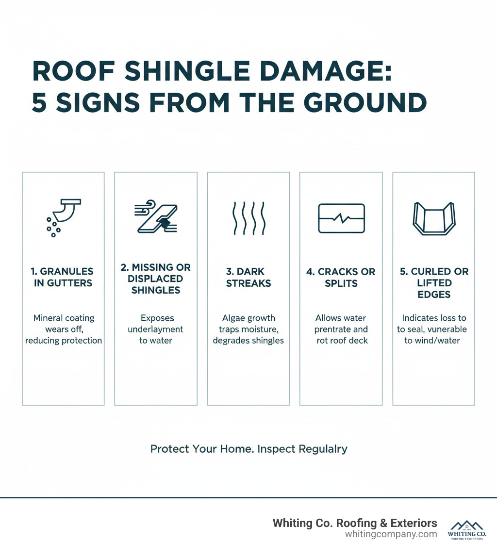 Comprehensive infographic showing the 5 most common signs of shingle damage that homeowners can identify from ground level: granules in gutters indicating wear, missing or displaced shingles after storms, dark streaks from algae growth, visible cracks or splits in individual shingles, and curled or lifted shingle edges. Each sign includes a small illustration and brief description of what it means for roof health. - Shingle roof repair infographic 
