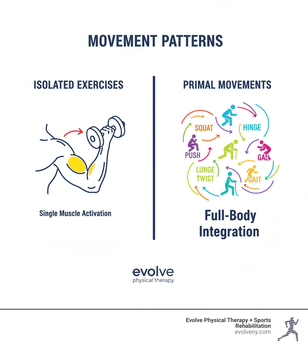 Infographic comparing isolated gym exercises showing single muscle activation versus primal movements demonstrating full-body integration, highlighting the seven foundational patterns: squat, hinge, lunge, push, pull, twist, and gait with arrows showing multi-joint coordination - primal movement mobility infographic  Infographic comparing isolated gym exercises showing single muscle activation versus primal movements demonstrating full-body integration, highlighting the seven foundational patterns: squat, hinge, lunge, push, pull, twist, and gait with arrows showing multi-joint coordination - primal movement mobility infographic