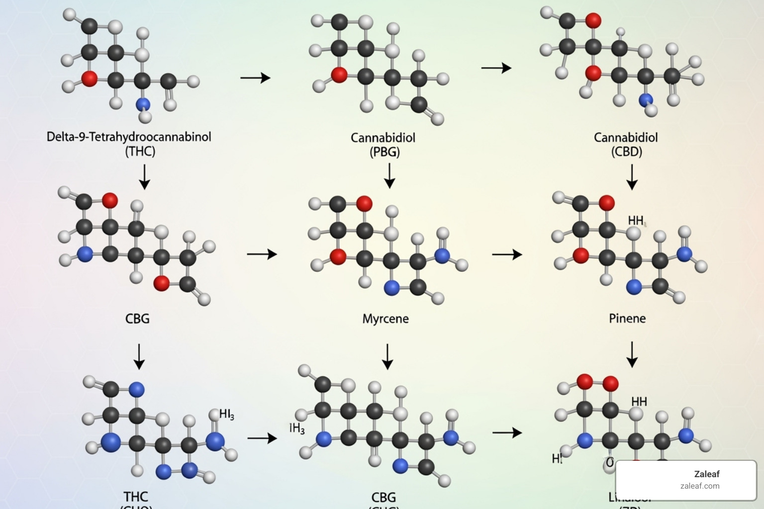 Cannabinoid and terpene molecular structures - what are the differences in vape pens sativa indica hybrid