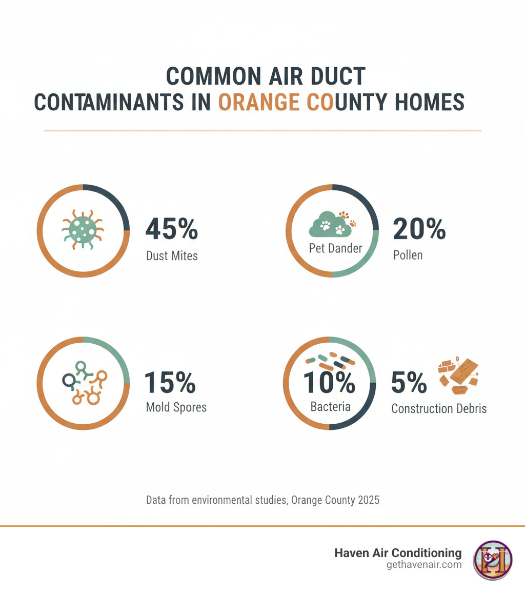 infographic showing common air duct contaminants in Orange County homes including dust mites, pet dander, pollen, mold spores, bacteria, and construction debris with percentages of occurrence - air duct sanitizing orange county infographic 