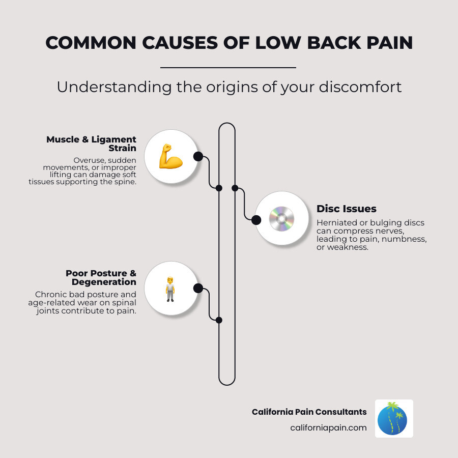 infographic showing common causes of low back pain including muscle strain, herniated discs, spinal stenosis, arthritis, poor posture, and injury with percentages and simple illustrations of the spine - chiropractic low back infographic infographic-line-3-steps-elegant_beige infographic showing common causes of low back pain including muscle strain, herniated discs, spinal stenosis, arthritis, poor posture, and injury with percentages and simple illustrations of the spine - chiropractic low back infographic infographic-line-3-steps-elegant_beige