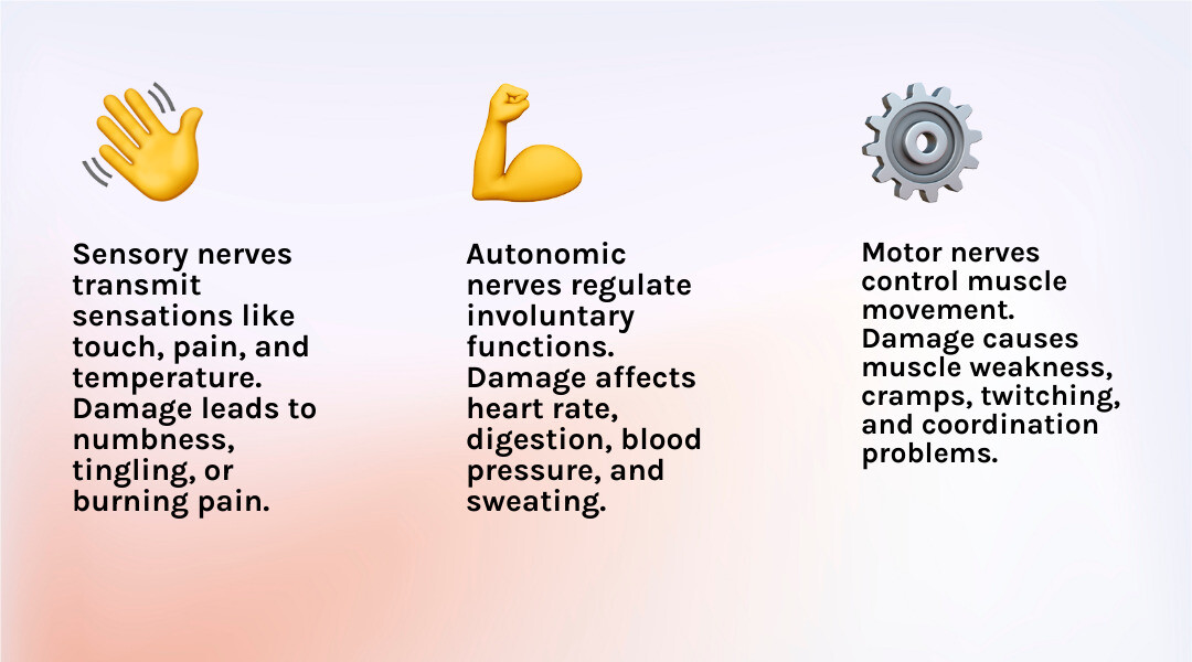 Infographic detailing sensory, motor, and autonomic peripheral neuropathy symptoms - peripheral neuropathy symptoms infographic 3_facts_emoji_light-gradient
