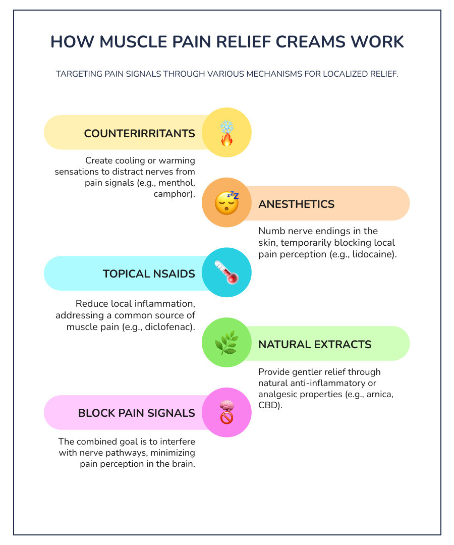 infographic showing how topical muscle pain relief creams work: counterirritants create cooling sensation, anesthetics numb nerves, nsaids reduce inflammation, natural ingredients provide gentle relief, all blocking pain signals from reaching the brain through different mechanisms - pain relief cream muscle infographic infographic-line-5-steps-colors