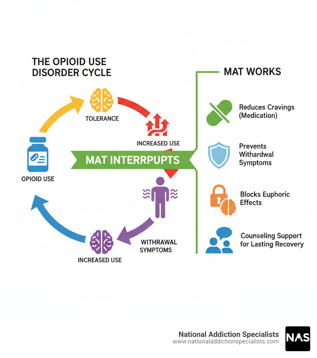 Infographic showing the cycle of opioid use disorder: opioid use leads to tolerance, which leads to increased use, which leads to withdrawal symptoms when stopping, which leads back to opioid use to relieve withdrawal. MAT interrupts this cycle by: reducing cravings with medication, preventing withdrawal symptoms, blocking euphoric effects, and providing counseling support for lasting recovery. - MAT for OUD infographic  Infographic showing the cycle of opioid use disorder: opioid use leads to tolerance, which leads to increased use, which leads to withdrawal symptoms when stopping, which leads back to opioid use to relieve withdrawal. MAT interrupts this cycle by: reducing cravings with medication, preventing withdrawal symptoms, blocking euphoric effects, and providing counseling support for lasting recovery. - MAT for OUD infographic