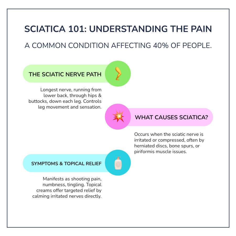 infographic showing the sciatic nerve pathway from the lower spine through the buttocks and down the leg, with common compression points marked including herniated disc, bone spurs, and piriformis muscle, plus statistics showing 40% prevalence and typical pain patterns - Sciatica Relief Cream infographic infographic-line-3-steps-colors