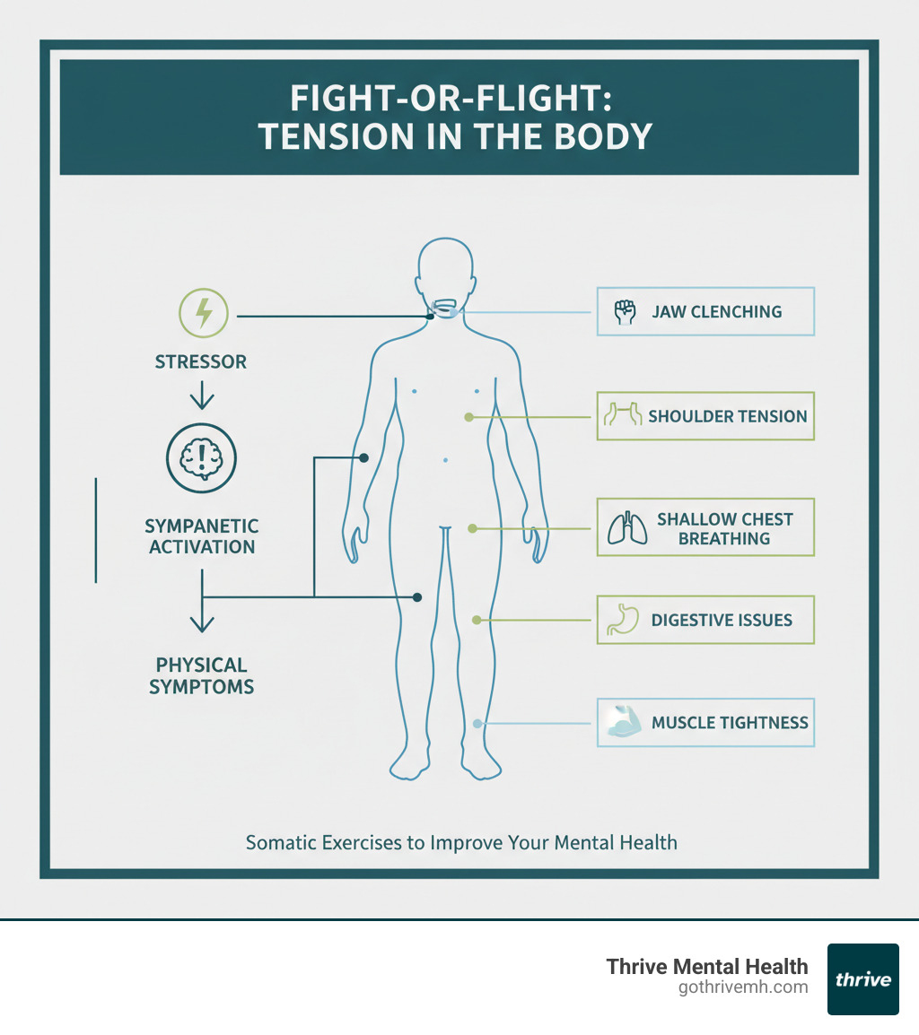 Infographic showing how the nervous system's fight-or-flight response stores tension in the body, with labeled areas including jaw clenching, shoulder tension, shallow chest breathing, digestive issues, and muscle tightness, alongside the pathway from stressor to sympathetic activation to physical symptoms - Somatic Exercises to Improve Your Mental Health infographic 