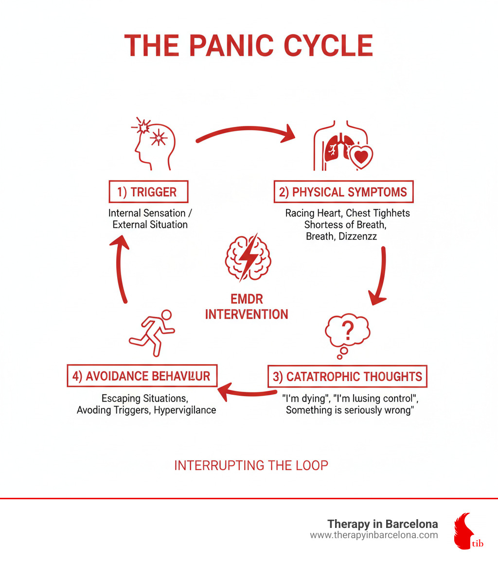 Infographic showing the panic cycle: a circular diagram with four connected stages - 1) Trigger (internal sensation or external situation), 2) Physical Symptoms (racing heart, chest tightness, shortness of breath, dizziness), 3) Catastrophic Thoughts ("I'm dying", "I'm losing control", "Something is seriously wrong"), and 4) Avoidance Behaviour (escaping situations, avoiding triggers, hypervigilance). Arrows show how each stage feeds into the next, creating a self-reinforcing loop. A break in the circle indicates where EMDR intervention helps interrupt the cycle. - EMDR for panic attacks infographic 