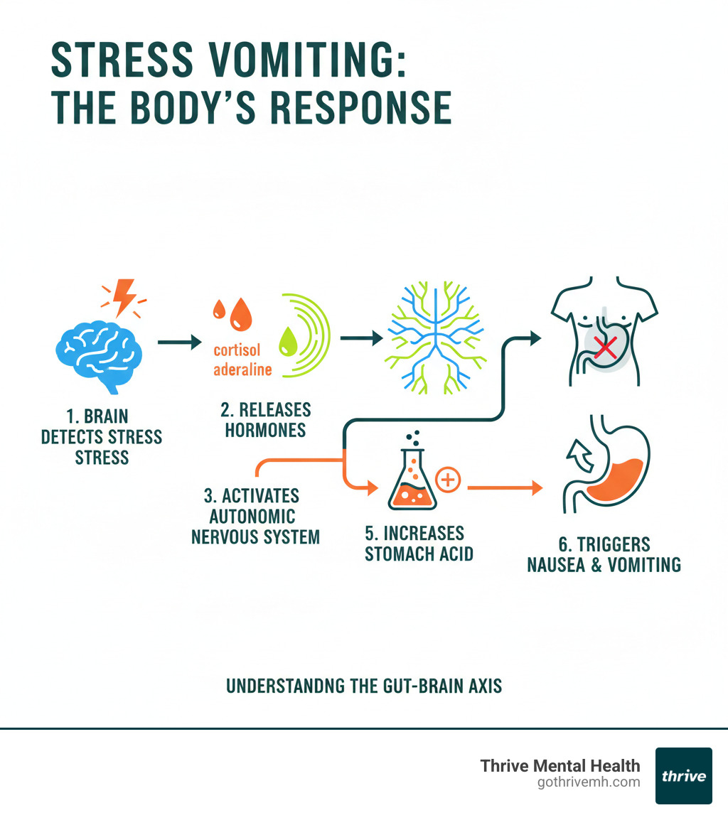 Infographic showing the body's fight-or-flight response: brain detects stress → releases cortisol and adrenaline → activates autonomic nervous system → diverts blood from digestion → increases stomach acid → triggers nausea and vomiting reflex - What is Stress Vomiting? infographic 