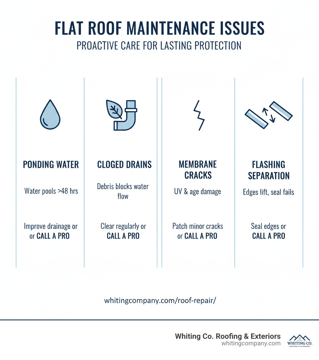 infographic showing common flat roof maintenance issues including ponding water, clogged drains, membrane cracks, and flashing separation, with simple solutions or advice to call a professional for each. - Flat roof repair infographic 