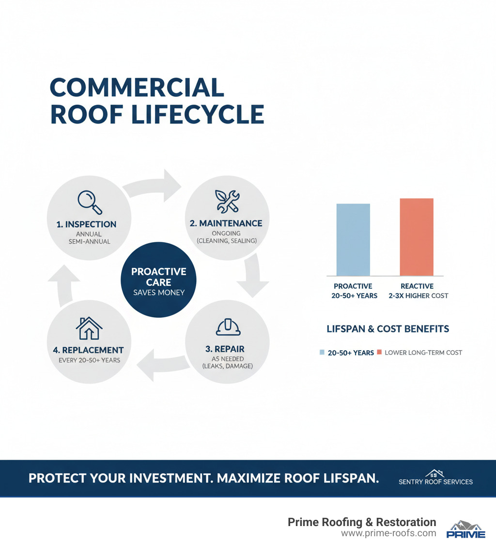 infographic showing the lifecycle of commercial roof services from inspection to maintenance to repair to replacement with average timelines and cost-saving benefits of proactive care - Commercial roof services infographic infographic showing the lifecycle of commercial roof services from inspection to maintenance to repair to replacement with average timelines and cost-saving benefits of proactive care - Commercial roof services infographic