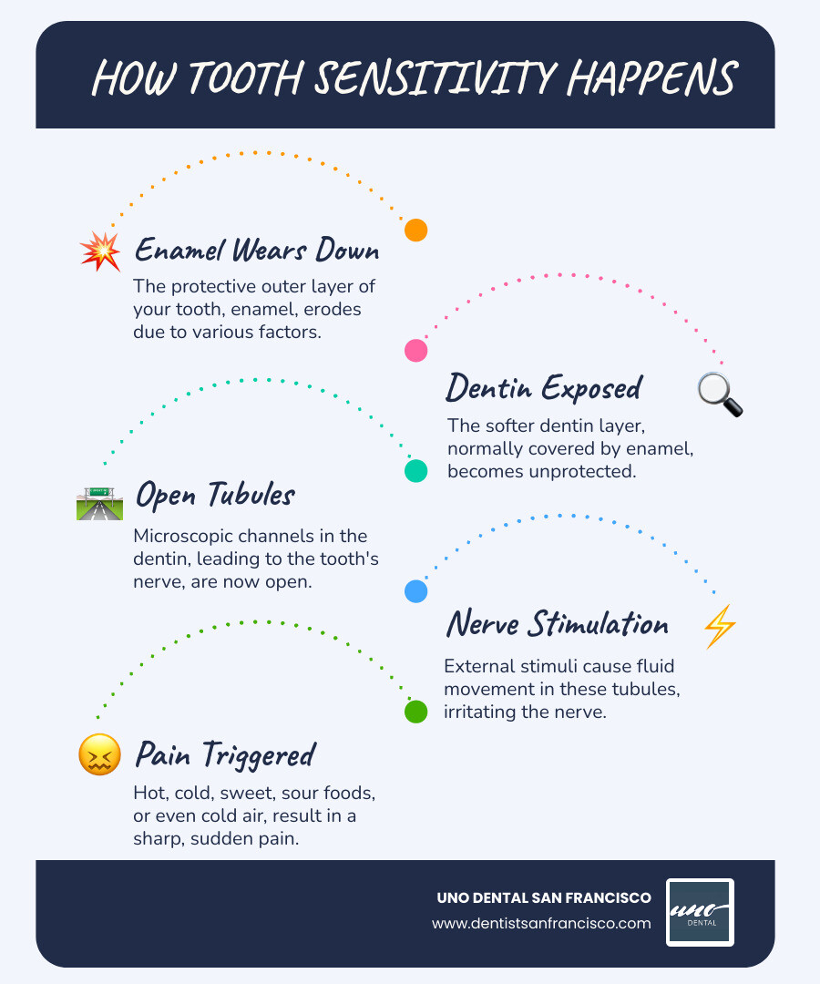 infographic showing tooth anatomy with labeled sections for enamel wear, exposed dentin tubules, nerve pathways, and common pain triggers like hot drinks, cold foods, sweet items, and brushing - stop teeth sensitivity infographic infographic-line-5-steps-blues-accent_colors