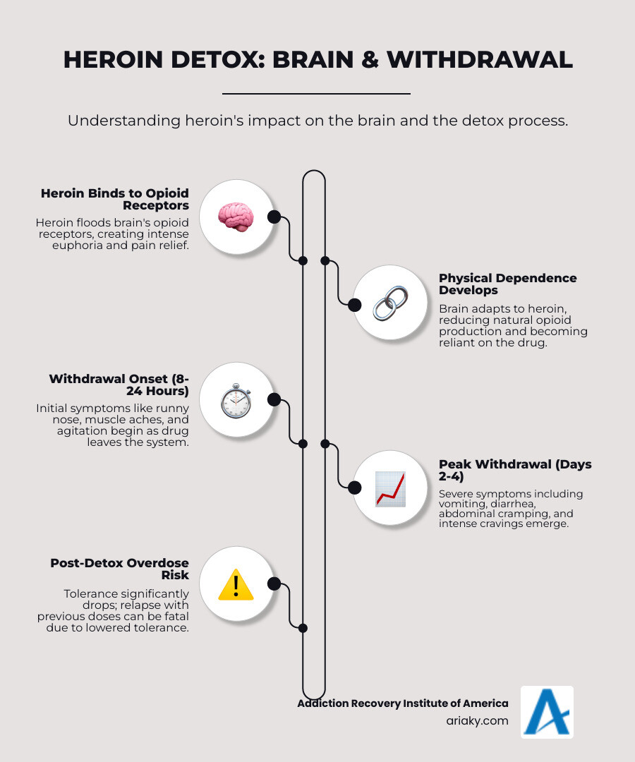 detailed infographic showing heroin's effect on brain opioid receptors, the development of physical dependence, common withdrawal symptoms timeline from 8-24 hours through day 10, and the critical difference in overdose risk before and after detox - heroin detox infographic infographic-line-5-steps-elegant_beige detailed infographic showing heroin's effect on brain opioid receptors, the development of physical dependence, common withdrawal symptoms timeline from 8-24 hours through day 10, and the critical difference in overdose risk before and after detox - heroin detox infographic infographic-line-5-steps-elegant_beige