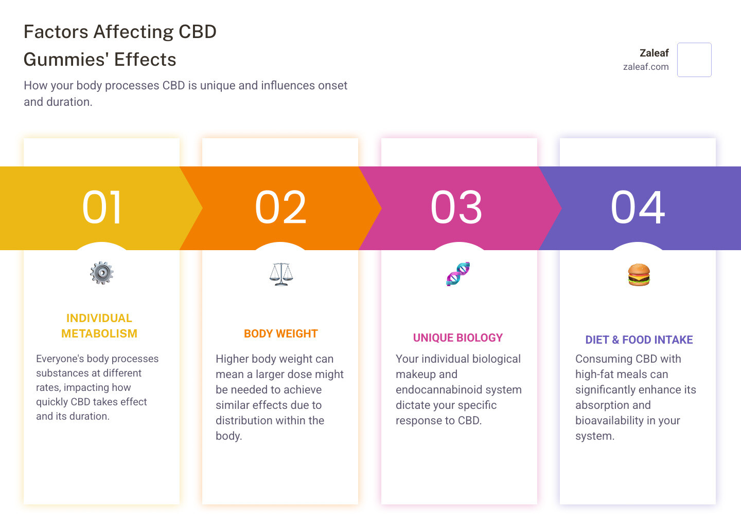 List of factors affecting CBD absorption including individual metabolism rate, body weight, the presence of food in the stomach (especially high-fat meals), and the specific biology of the individual - cbd gummies benefits infographic pillar-4-steps List of factors affecting CBD absorption including individual metabolism rate, body weight, the presence of food in the stomach (especially high-fat meals), and the specific biology of the individual - cbd gummies benefits infographic pillar-4-steps