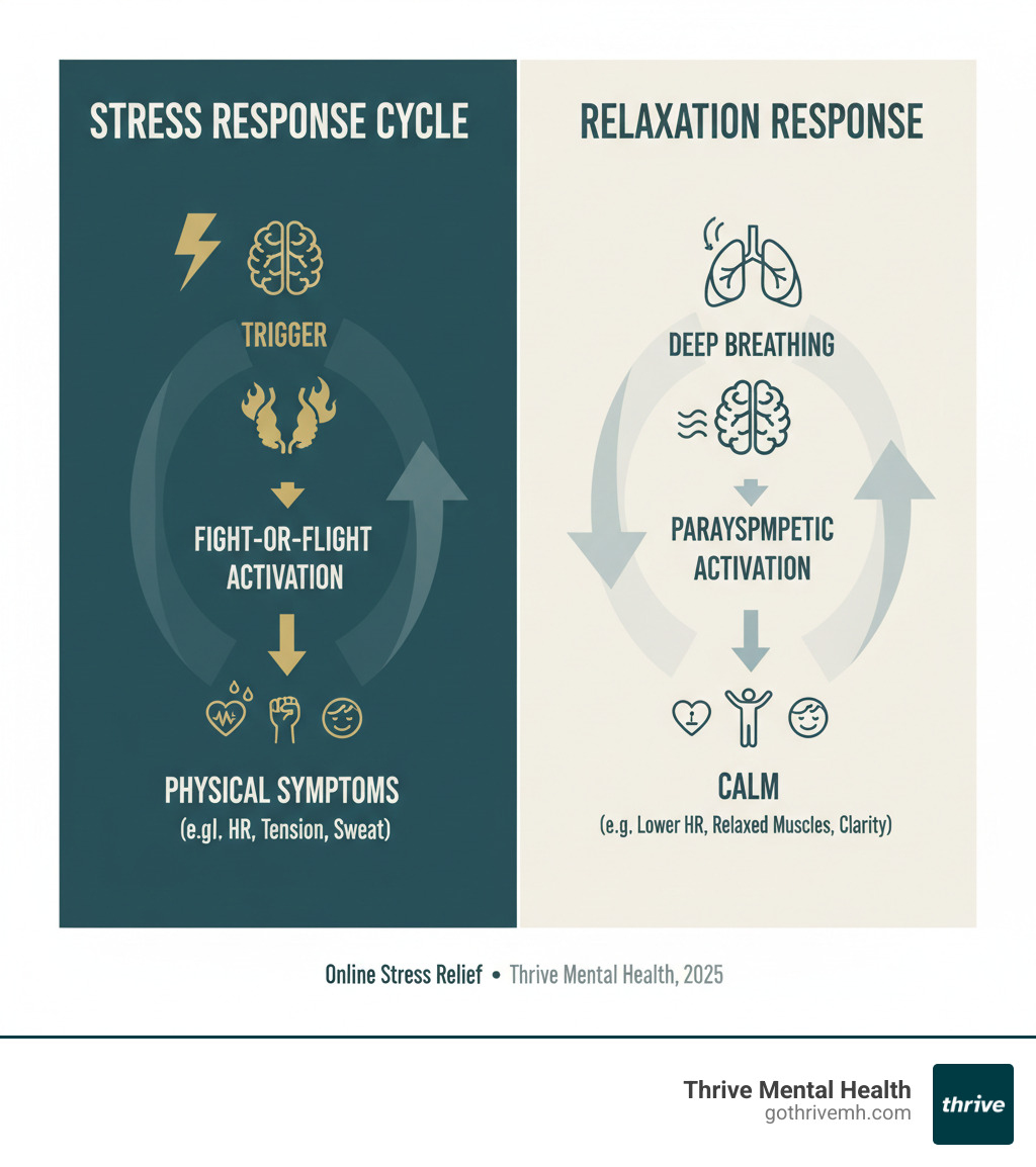 infographic showing the stress response cycle from trigger to fight-or-flight activation to physical symptoms, contrasted with the relaxation response pathway showing deep breathing leading to parasympathetic activation and calm - stress relief online infographic infographic showing the stress response cycle from trigger to fight-or-flight activation to physical symptoms, contrasted with the relaxation response pathway showing deep breathing leading to parasympathetic activation and calm - stress relief online infographic