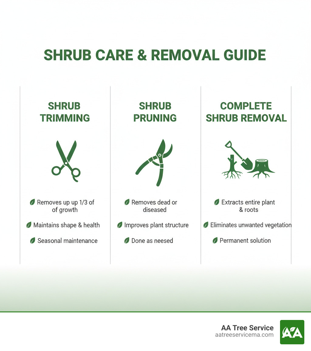 Infographic showing three columns: Shrub Trimming (scissors icon, removes up to one-third of growth, maintains shape and health, seasonal maintenance), Shrub Pruning (pruning shears icon, removes dead or diseased branches, improves plant structure, done as needed), and Complete Shrub Removal (shovel and stump icon, extracts entire plant including roots, eliminates unwanted vegetation, permanent solution) - shrub removal companies infographic Infographic showing three columns: Shrub Trimming (scissors icon, removes up to one-third of growth, maintains shape and health, seasonal maintenance), Shrub Pruning (pruning shears icon, removes dead or diseased branches, improves plant structure, done as needed), and Complete Shrub Removal (shovel and stump icon, extracts entire plant including roots, eliminates unwanted vegetation, permanent solution) - shrub removal companies infographic