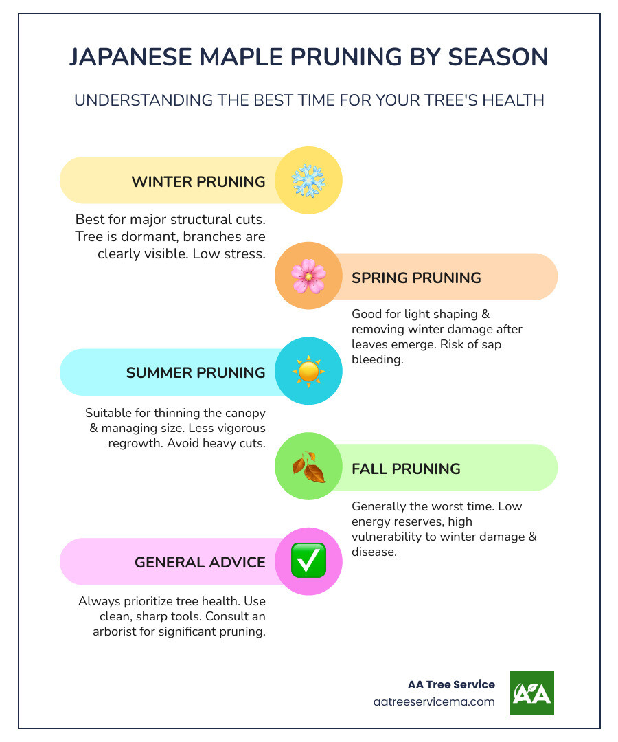 Infographic comparing the four seasons for pruning Japanese maples, showing winter as best for structural pruning with dormant trees and clear branch visibility, spring as good for light shaping after leaves emerge but with risks of sap bleeding and tender bark, summer as suitable for thinning with less regrowth but risks of heat stress, and fall as worst time due to low energy reserves and vulnerability to winter damage - pruning japanese maple in spring infographic infographic-line-5-steps-colors