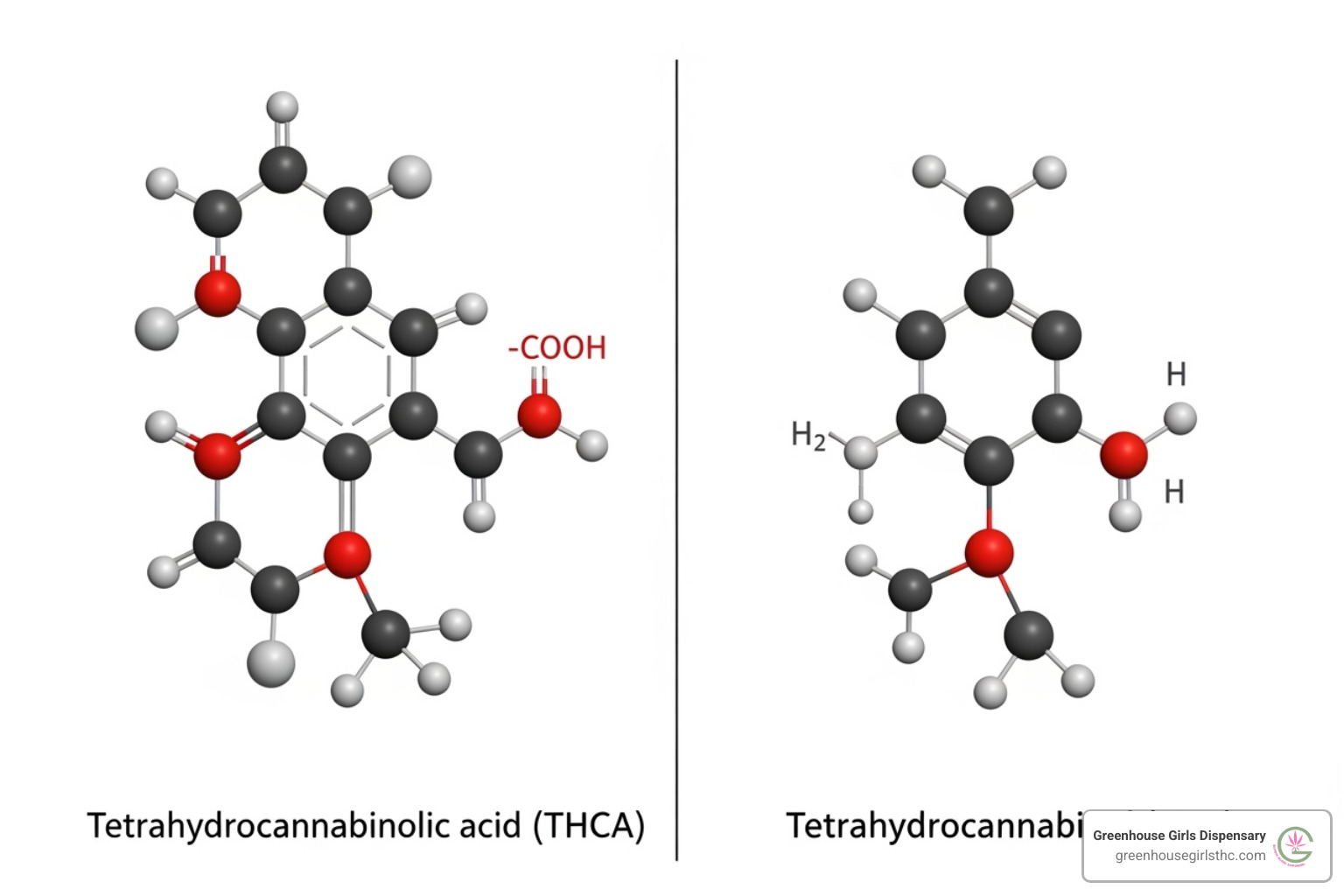 molecular structure of THCA vs THC - thca flower