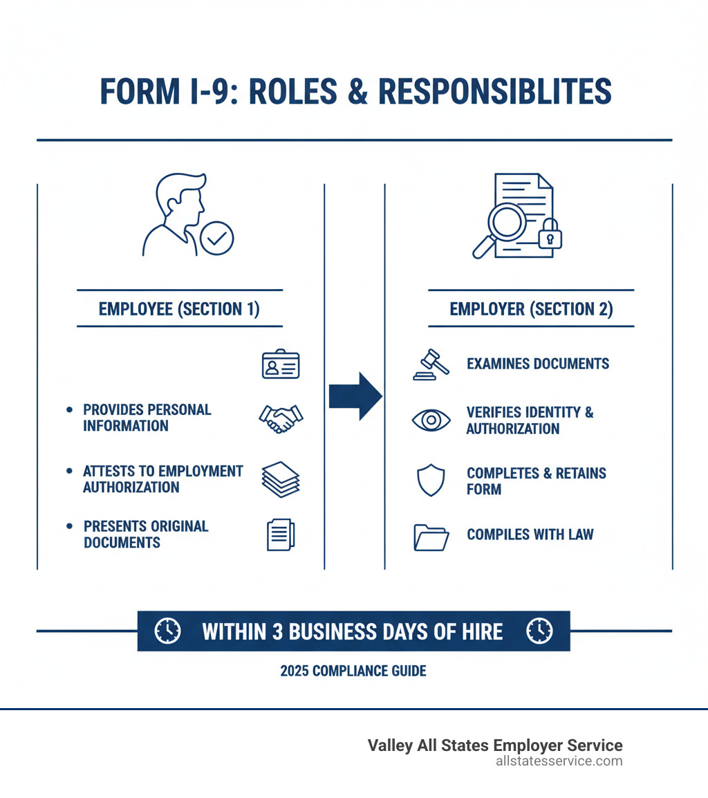 Infographic explaining the roles of the employee (Section 1) vs. the employer (Section 2) - form i 9 section 2 infographic Infographic explaining the roles of the employee (Section 1) vs. the employer (Section 2) - form i 9 section 2 infographic