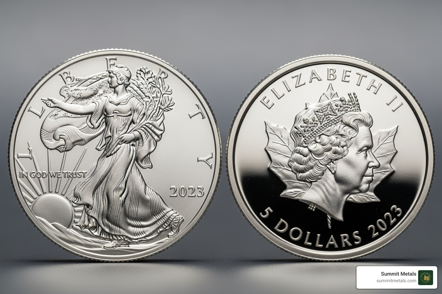 popular 1 oz silver coins like the American Eagle and Canadian Maple Leaf - 10 oz silver bar