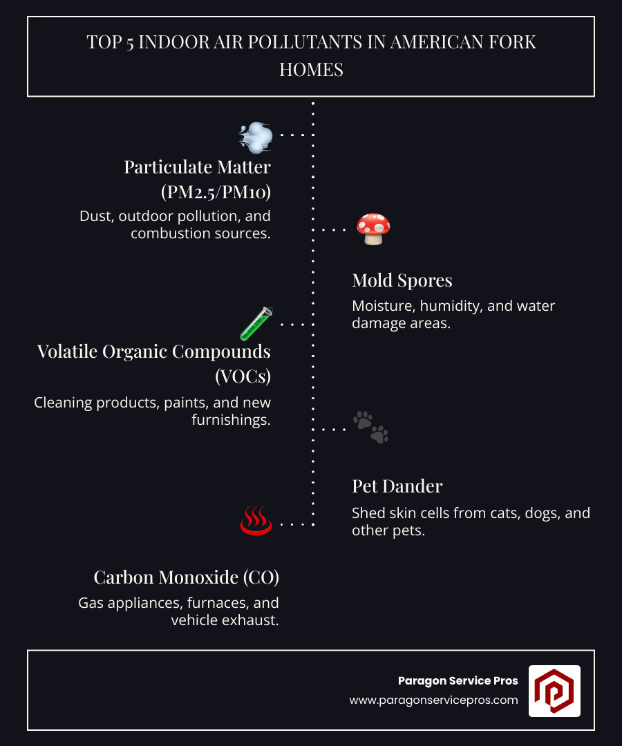 Infographic showing the top 5 common indoor air pollutants found in American Fork homes: 1) Particulate Matter (PM2.5 and PM10) from dust and outdoor pollution, 2) Mold Spores from moisture and humidity issues, 3) Volatile Organic Compounds (VOCs) from cleaning products, paints, and furniture, 4) Pet Dander from cats, dogs, and other animals, 5) Carbon Monoxide (CO) from gas appliances and vehicles. Each pollutant includes a simple icon and its primary sources. - indoor air quality testing american fork, ut infographic infographic-line-5-steps-dark
