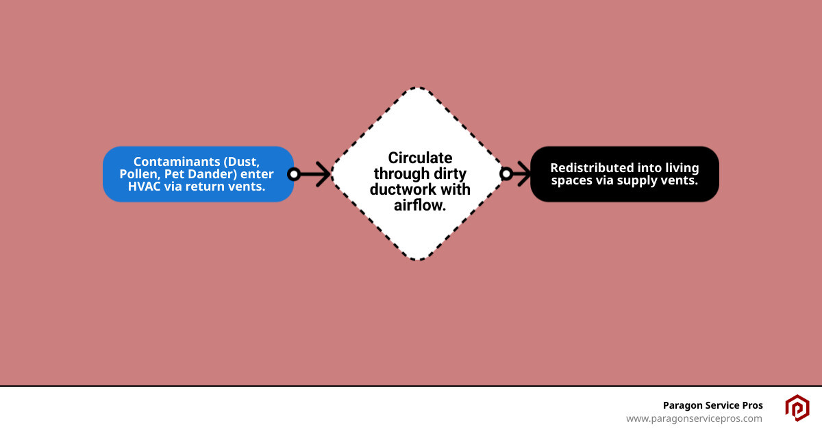 Infographic showing how dust, pollen, pet dander, and debris enter a home's HVAC system through return vents, circulate through ductwork, and are redistributed throughout living spaces via supply vents, with arrows indicating airflow direction and labels for common contaminants found in Gilbert homes - air duct cleaning gilbert, az infographic flowmap_simple Infographic showing how dust, pollen, pet dander, and debris enter a home's HVAC system through return vents, circulate through ductwork, and are redistributed throughout living spaces via supply vents, with arrows indicating airflow direction and labels for common contaminants found in Gilbert homes - air duct cleaning gilbert, az infographic flowmap_simple