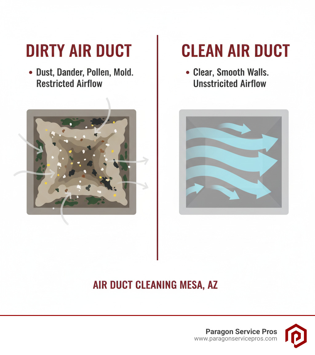 Infographic showing a side-by-side comparison of a dirty air duct cross-section filled with dust, pet dander, pollen, and visible mold growth on the left, versus a clean, clear air duct with smooth interior walls and unrestricted airflow on the right - air duct cleaning mesa, az infographic Infographic showing a side-by-side comparison of a dirty air duct cross-section filled with dust, pet dander, pollen, and visible mold growth on the left, versus a clean, clear air duct with smooth interior walls and unrestricted airflow on the right - air duct cleaning mesa, az infographic