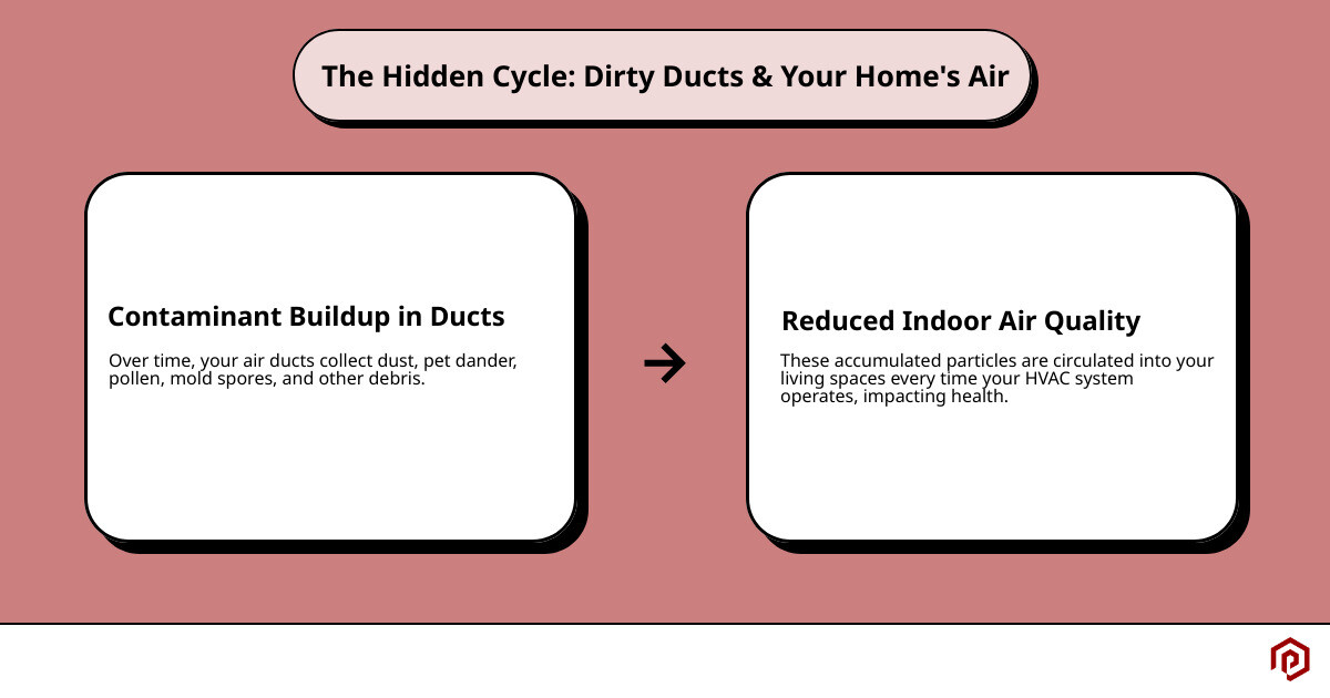 infographic showing dirty air ducts circulating dust, pet dander, pollen, mold spores, and debris through home ventilation system into living spaces where family breathes contaminated air - air duct cleaning american fork, ut infographic cause_effect_text infographic showing dirty air ducts circulating dust, pet dander, pollen, mold spores, and debris through home ventilation system into living spaces where family breathes contaminated air - air duct cleaning american fork, ut infographic cause_effect_text