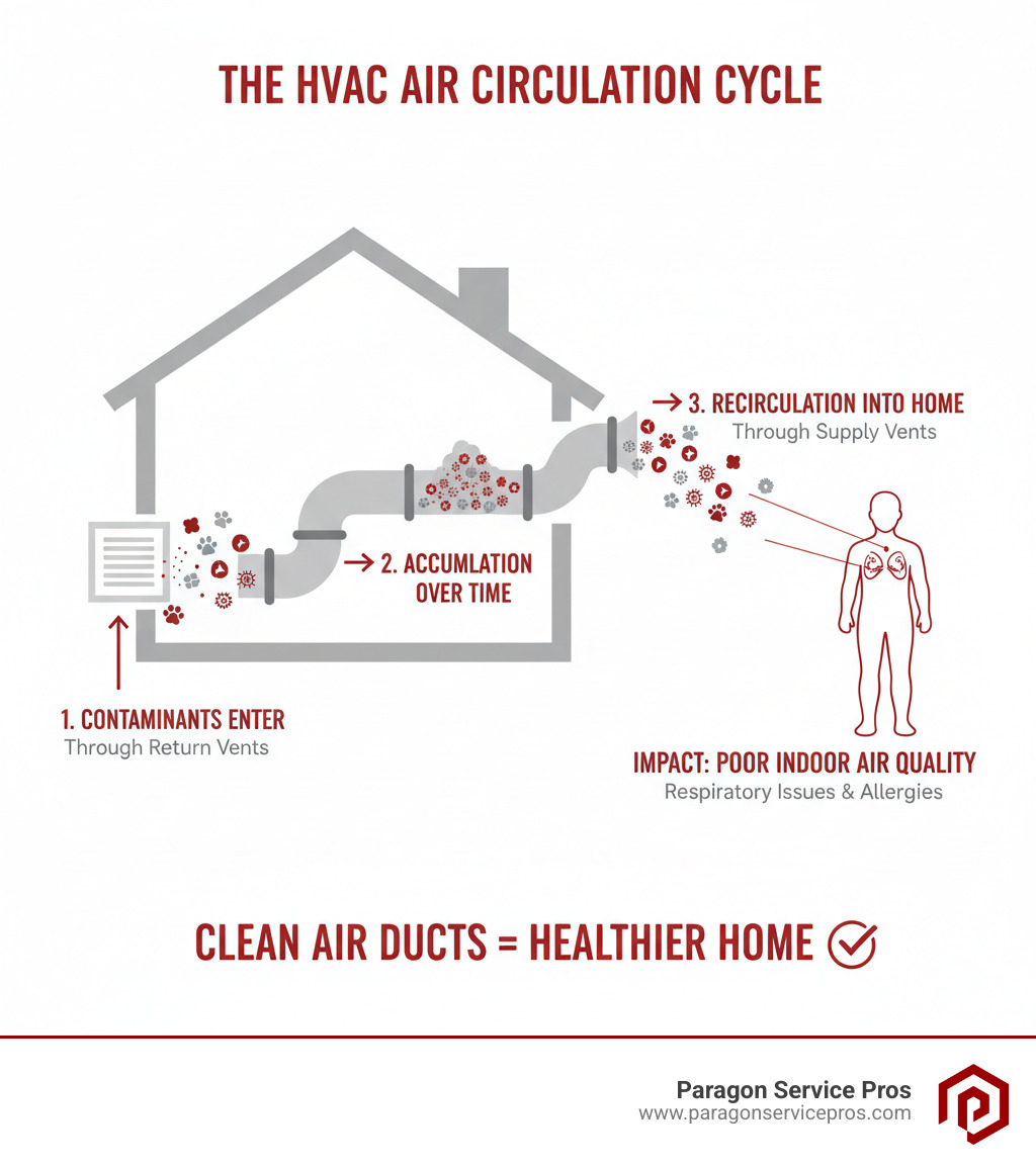 Infographic showing how dust, allergens, pet dander, and pollen enter a home's HVAC system through return vents, accumulate in ductwork over time, and then circulate back into living spaces through supply vents, affecting indoor air quality and triggering respiratory issues - air duct cleaning bluffdale, ut infographic Infographic showing how dust, allergens, pet dander, and pollen enter a home's HVAC system through return vents, accumulate in ductwork over time, and then circulate back into living spaces through supply vents, affecting indoor air quality and triggering respiratory issues - air duct cleaning bluffdale, ut infographic