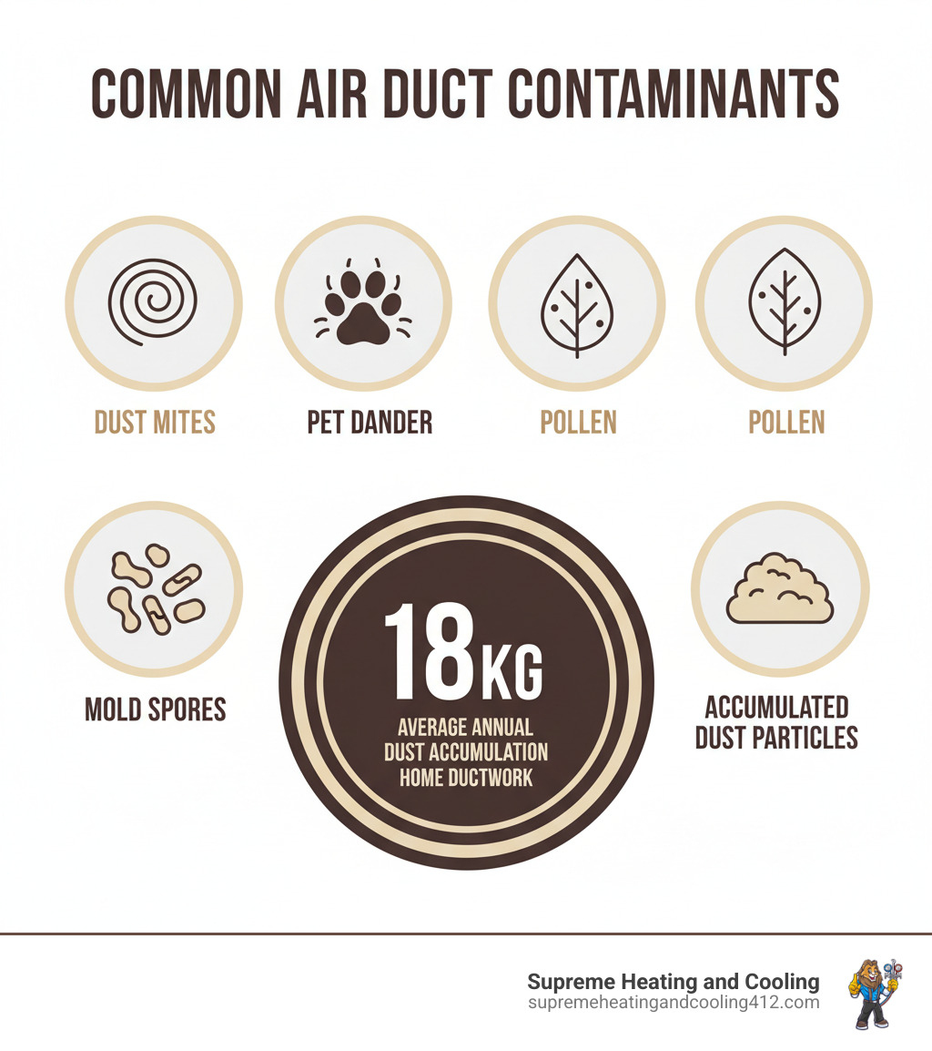 infographic showing common air duct contaminants including dust mites, pet dander, pollen, mold spores, bacteria, and accumulated dust particles, with statistics showing 18kg average annual dust accumulation in home ductwork - duct cleaning bethel park, pa infographic 