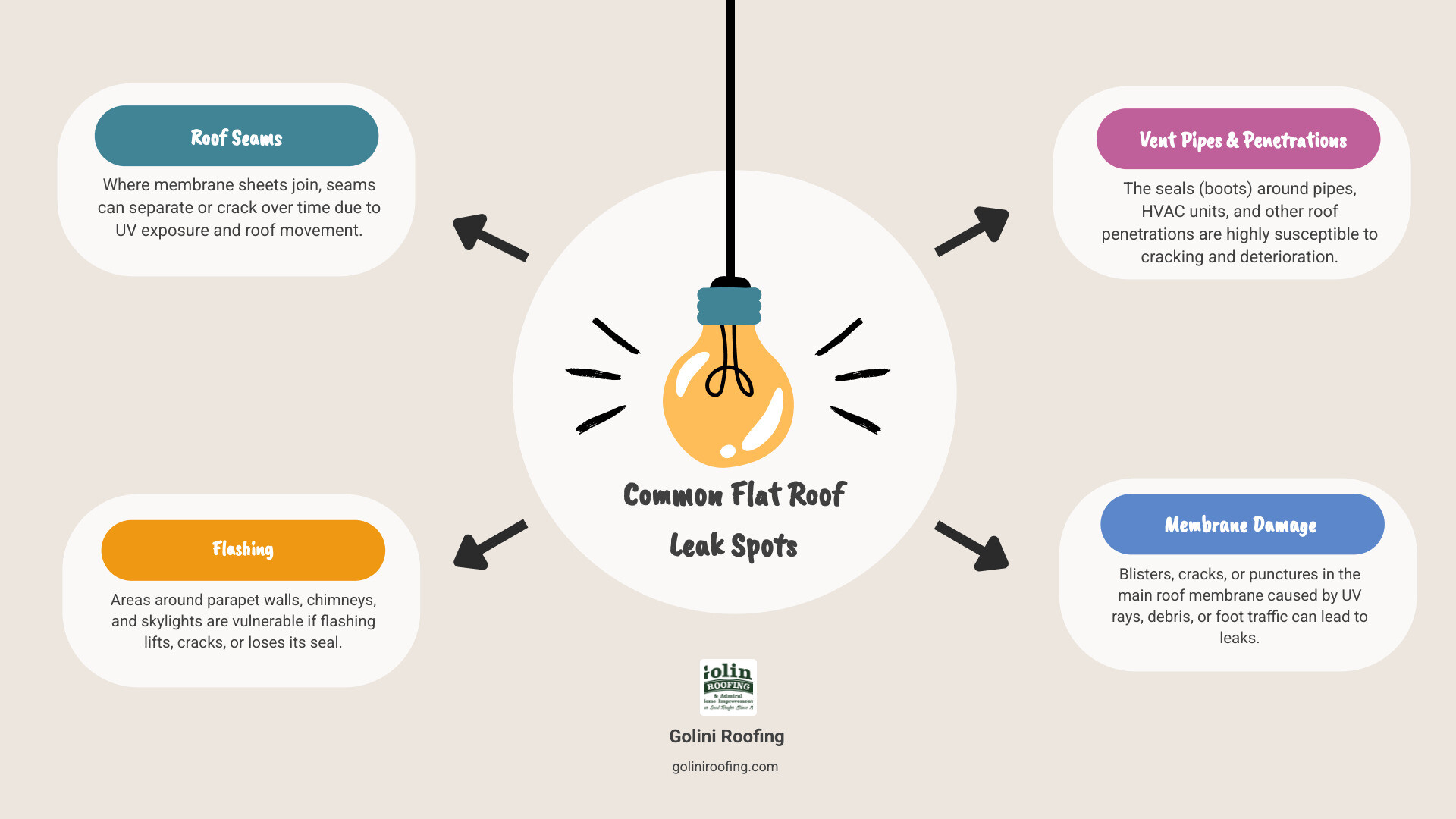 Infographic showing the most common flat roof leak locations including roof seams, flashing at walls and parapets, vent pipe penetrations, HVAC equipment connections, drain areas, roof edges and drip edges, skylight installations, and blistered or cracked membrane surfaces with icons and brief descriptions of why each area is prone to leaking - Flat roof repair infographic brainstorm-4-items Infographic showing the most common flat roof leak locations including roof seams, flashing at walls and parapets, vent pipe penetrations, HVAC equipment connections, drain areas, roof edges and drip edges, skylight installations, and blistered or cracked membrane surfaces with icons and brief descriptions of why each area is prone to leaking - Flat roof repair infographic brainstorm-4-items