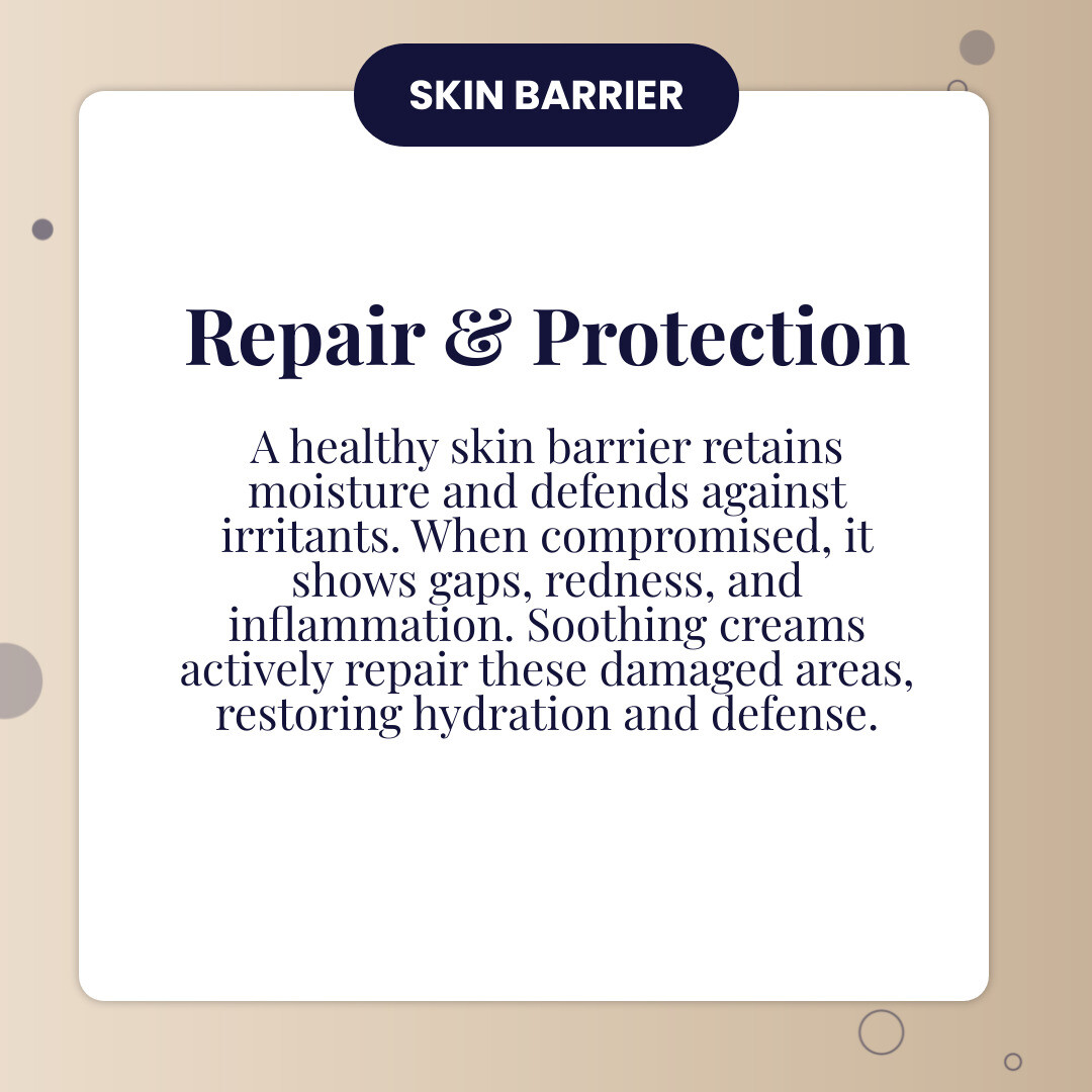 Infographic comparing a healthy skin barrier with intact lipid layers, ceramides, and moisture retention versus a compromised barrier showing gaps, inflammation, redness, and moisture loss, with arrows indicating how soothing creams repair the damage - soothing skin cream infographic simple-info-card