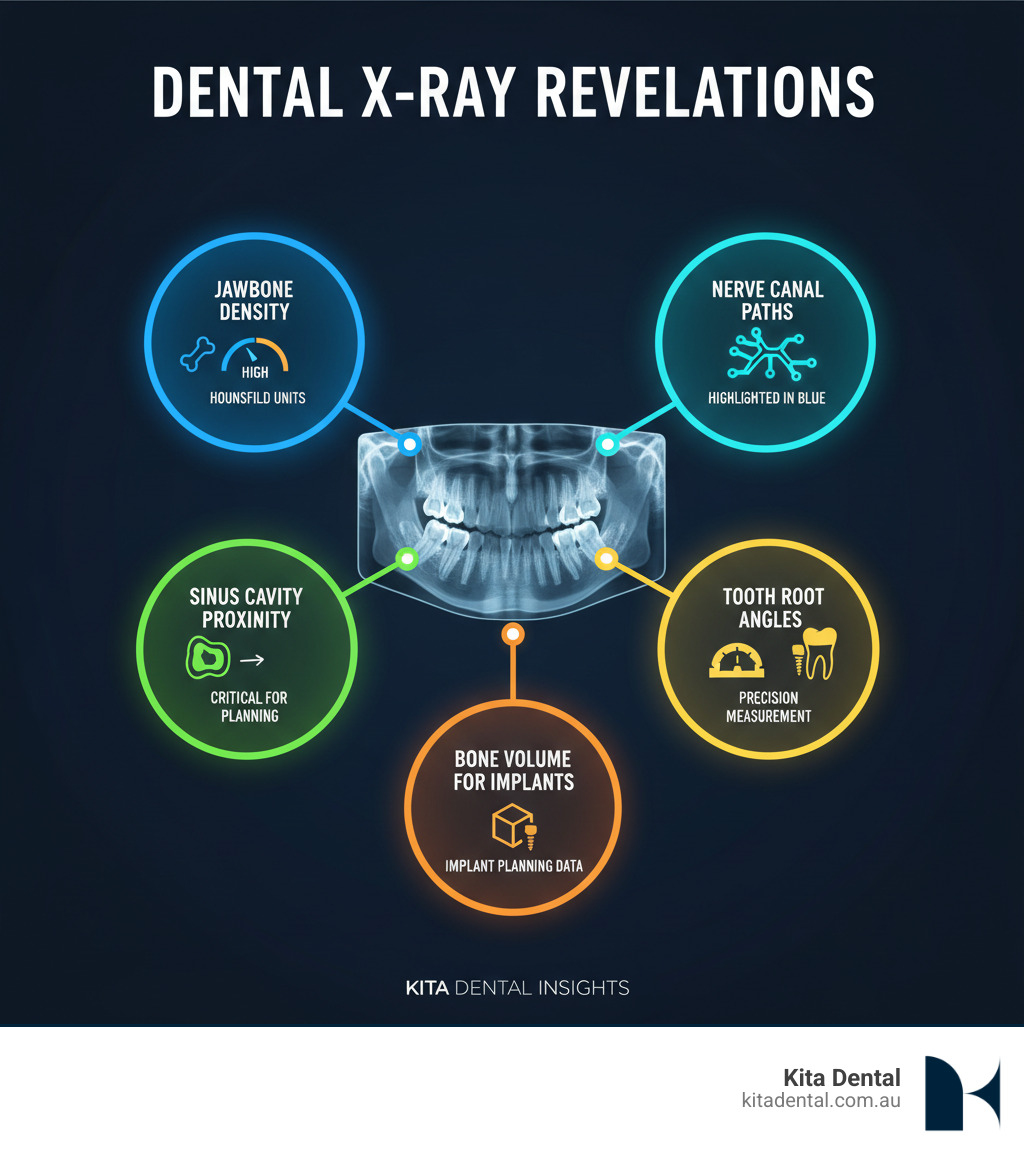 Infographic showing what dental X-rays reveal: jawbone density measured in Hounsfield units, nerve canal locations highlighted in blue, sinus cavity proximity indicated, tooth root angles measured, and bone volume calculations for implant planning - Dental x-ray cost infographic Infographic showing what dental X-rays reveal: jawbone density measured in Hounsfield units, nerve canal locations highlighted in blue, sinus cavity proximity indicated, tooth root angles measured, and bone volume calculations for implant planning - Dental x-ray cost infographic