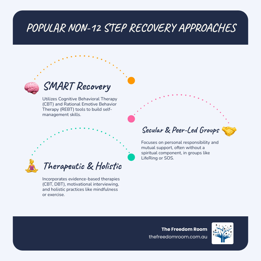 Diagram illustrating multiple options for non-12 step recovery, including CBT-based programs and mutual support groups for individualized paths.
