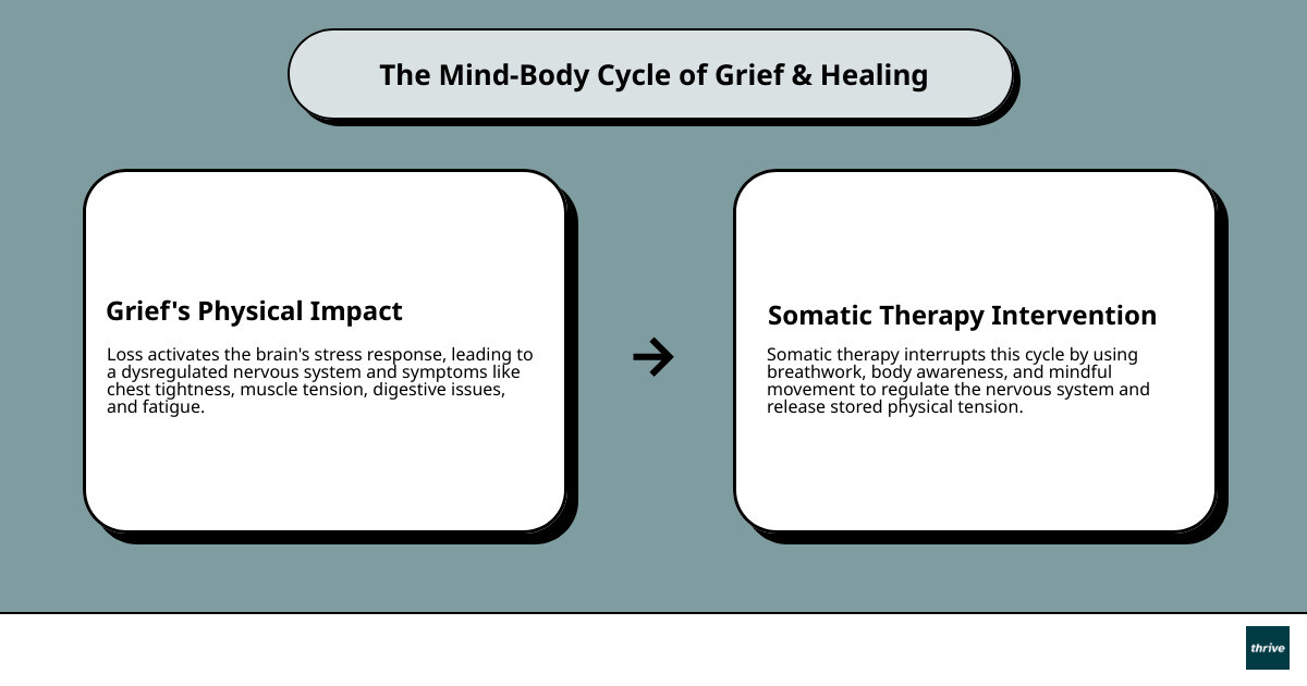 Infographic showing the mind-body connection in grief: brain processes loss, nervous system activates stress response, body experiences chest tightness and muscle tension and digestive issues and fatigue, somatic therapy interrupts this cycle through breathwork and body awareness and movement - somatic therapy for grief infographic cause_effect_text Infographic showing the mind-body connection in grief: brain processes loss, nervous system activates stress response, body experiences chest tightness and muscle tension and digestive issues and fatigue, somatic therapy interrupts this cycle through breathwork and body awareness and movement - somatic therapy for grief infographic cause_effect_text