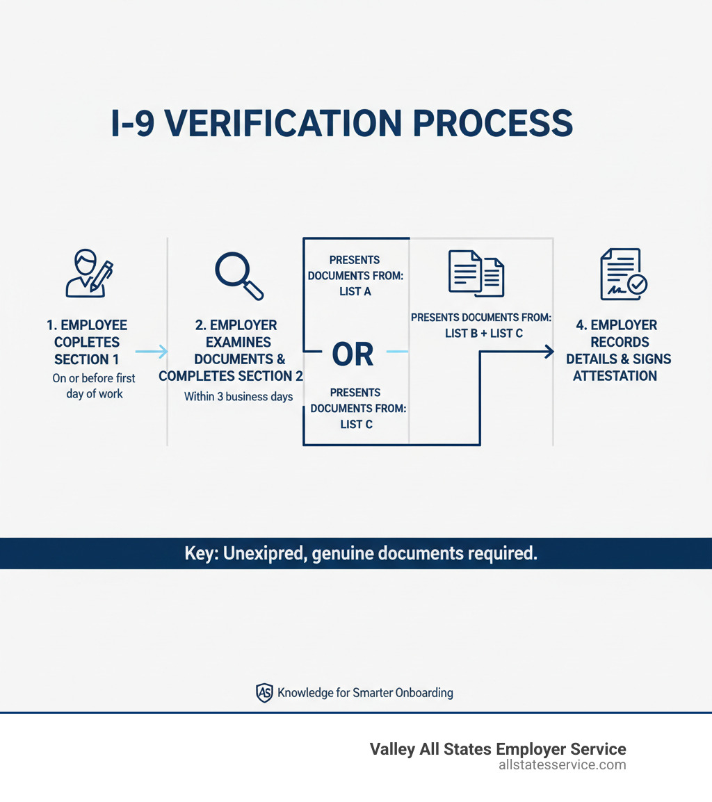 Infographic showing the I-9 verification process: Employee completes Section 1 on or before first day of work, Employer examines documents and completes Section 2 within 3 business days, Employee presents documents from List A OR List B plus List C, Employer records document details and signs attestation - i 9 section 2 acceptable documents infographic Infographic showing the I-9 verification process: Employee completes Section 1 on or before first day of work, Employer examines documents and completes Section 2 within 3 business days, Employee presents documents from List A OR List B plus List C, Employer records document details and signs attestation - i 9 section 2 acceptable documents infographic