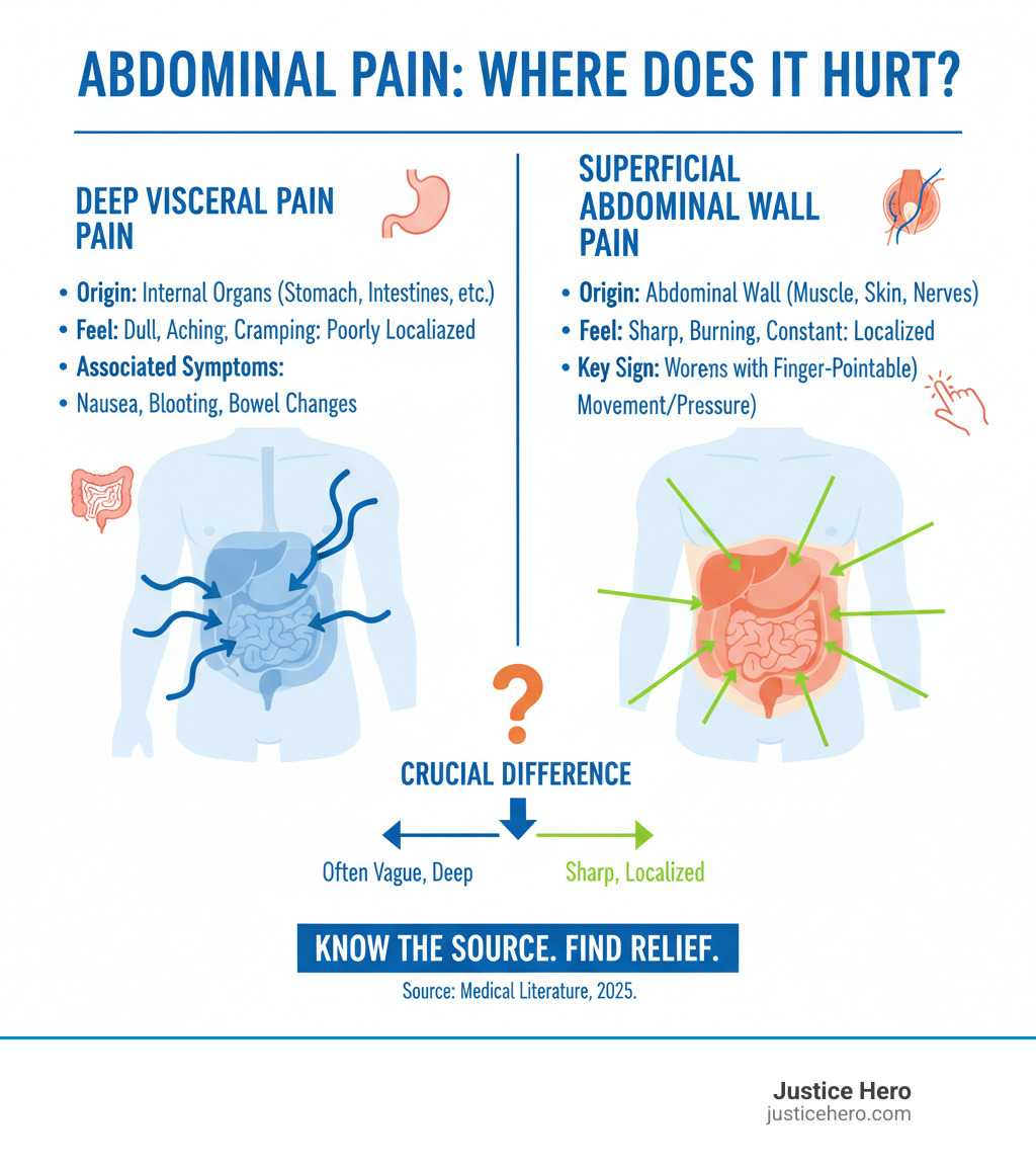 infographic explaining the difference between deep visceral pain (from organs) and superficial abdominal wall pain (from muscle, skin, and nerves). - Abdominal wall pain infographic infographic explaining the difference between deep visceral pain (from organs) and superficial abdominal wall pain (from muscle, skin, and nerves). - Abdominal wall pain infographic