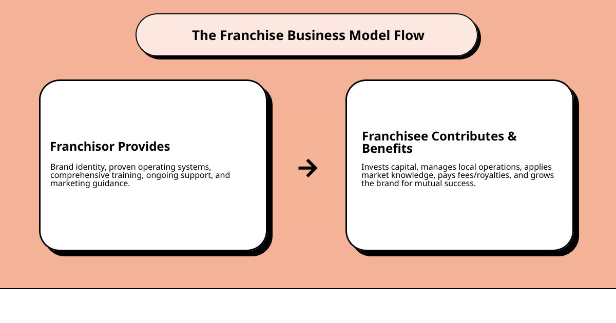 infographic showing the franchise business model flow: franchisor provides brand identity, operating systems, training programs, and ongoing support to multiple franchisees who each invest capital, manage local operations, pay initial franchise fees and ongoing royalties, while serving customers and growing the brand locally - Franchise business model infographic cause_effect_text