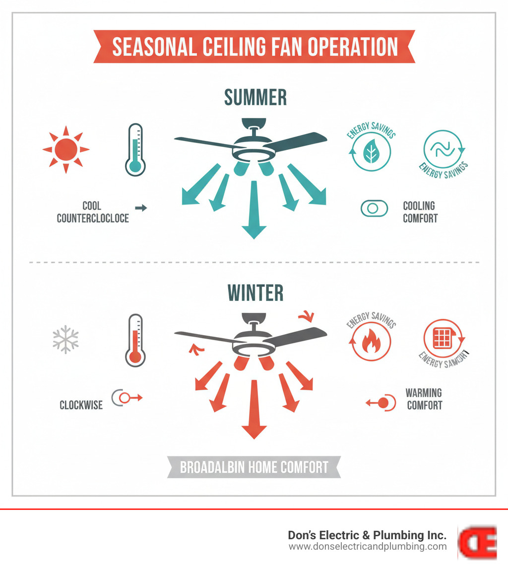Infographic showing ceiling fan operation in different seasons: counterclockwise rotation in summer pushing cool air down with downdraft arrows, and clockwise rotation in winter circulating warm air from ceiling with updraft arrows. Includes labels for energy savings, temperature comfort zones, and proper switch settings for each season. - ceiling fan wiring broadalbin infographic Infographic showing ceiling fan operation in different seasons: counterclockwise rotation in summer pushing cool air down with downdraft arrows, and clockwise rotation in winter circulating warm air from ceiling with updraft arrows. Includes labels for energy savings, temperature comfort zones, and proper switch settings for each season. - ceiling fan wiring broadalbin infographic