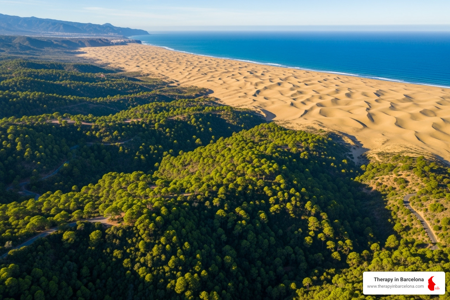 Gran Canaria's varied scenery: green forests, golden dunes, ocean views - Mindfulness Gran Canaria Gran Canaria's varied scenery: green forests, golden dunes, ocean views - Mindfulness Gran Canaria