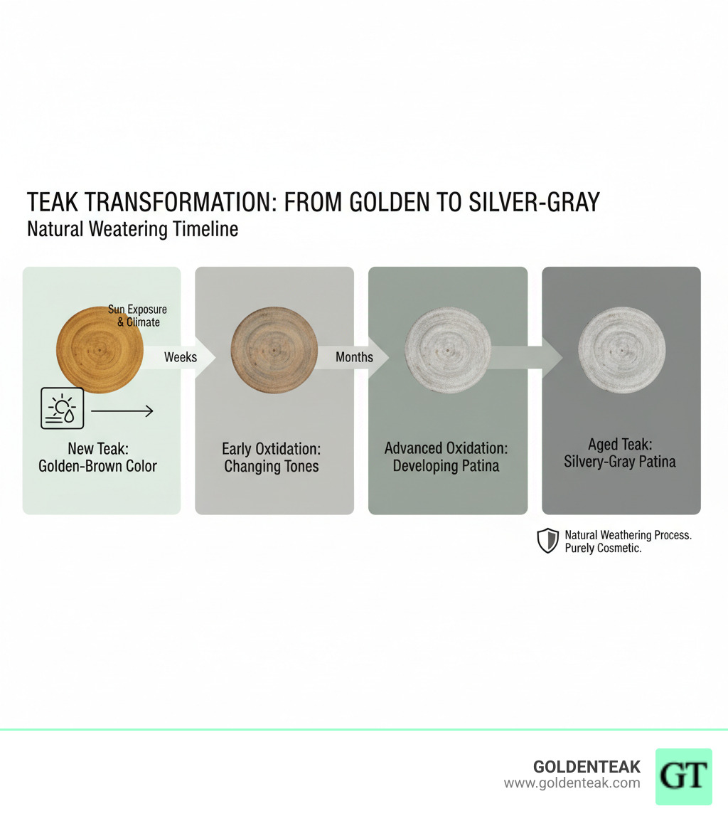 infographic showing the natural weathering process of teak furniture from golden-brown color through oxidation stages to silvery-gray patina, with timeline indicators showing the process takes weeks to months depending on sun exposure and climate conditions - cleaning teak wood patio furniture infographic infographic showing the natural weathering process of teak furniture from golden-brown color through oxidation stages to silvery-gray patina, with timeline indicators showing the process takes weeks to months depending on sun exposure and climate conditions - cleaning teak wood patio furniture infographic