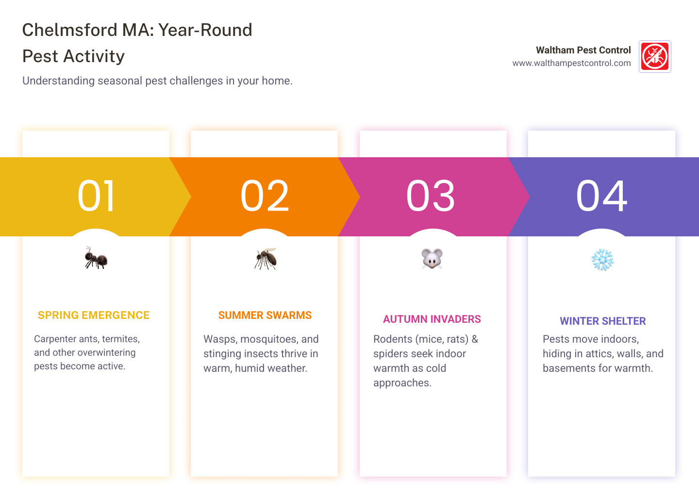 infographic showing seasonal pest activity calendar for Chelmsford MA, highlighting carpenter ants and termites in spring, wasps and mosquitoes in summer, rodents and spiders in fall, and mice seeking indoor shelter in winter - exterminator chelmsford infographic pillar-4-steps