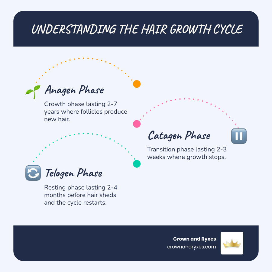 Infographic showing the three phases of hair growth: Anagen (growth phase lasting 2-7 years where follicles produce new hair), Catagen (transition phase lasting 2-3 weeks where growth stops), and Telogen (resting phase lasting 2-4 months before hair sheds and the cycle restarts) - best hair regrowth topical solution infographic infographic-line-3-steps-blues-accent_colors