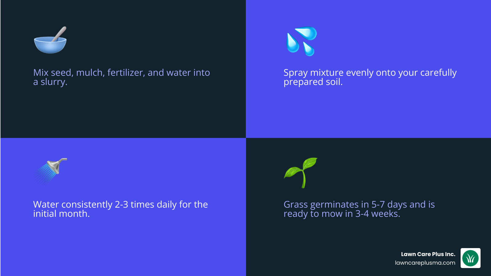 Hydro Grass Seed Companies: Best 2025 Choice