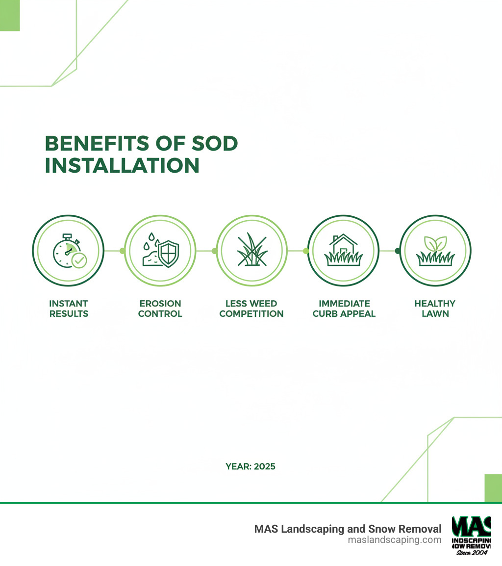 Infographic highlighting the benefits of sod installation: Instant Results, Erosion Control, Less Weed Competition, Immediate Curb Appeal, Healthy Lawn - preparing lawn for new sod infographic Infographic highlighting the benefits of sod installation: Instant Results, Erosion Control, Less Weed Competition, Immediate Curb Appeal, Healthy Lawn - preparing lawn for new sod infographic