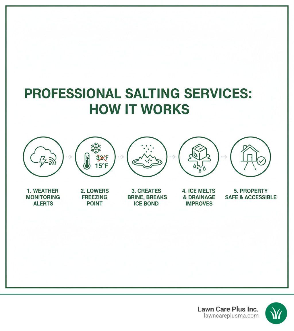 Infographic showing how professional salting services work: 1) Weather monitoring alerts service provider 2) Salt is applied to lower water's freezing point from 32°F to as low as 15°F 3) Salt creates brine solution that breaks ice bond with pavement 4) Ice melts and drainage improves 5) Property remains safe and accessible - salting near me infographic 