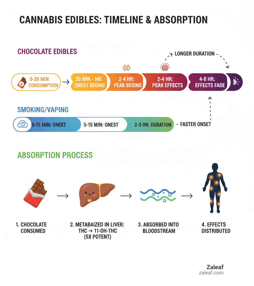 Infographic showing cannabis chocolate consumption timeline: 0-30 minutes (consumption), 30 minutes-2 hours (onset begins), 2-4 hours (peak effects), 4-8 hours (effects gradually fade). Includes comparison showing smoking cannabis has 5-15 minute onset but only 2-3 hour duration, while edibles have longer onset but 4-8 hour duration. Also displays absorption process: chocolate consumed, THC metabolized in liver to 11-hydroxy-THC (5x more potent), absorbed into bloodstream, effects distributed throughout body. - cannabis chocolates infographic 
